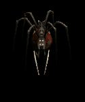 Giant Spider