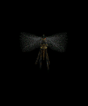 Giant Mosquito