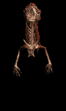 Putrid Defiler