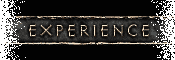 Experience