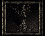 Dark Wood